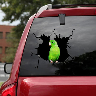 [bv0091-snf-tnt]-green-parrotlet-crack-car-sticker-birds-lover