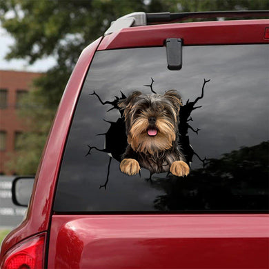 [bv0131-snf-tnt]-yorkshire-crack-car-sticker-dogs-lover