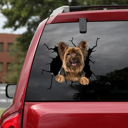 [bv0132-snf-tnt]-yorkshire-crack-car-sticker-dogs-lover