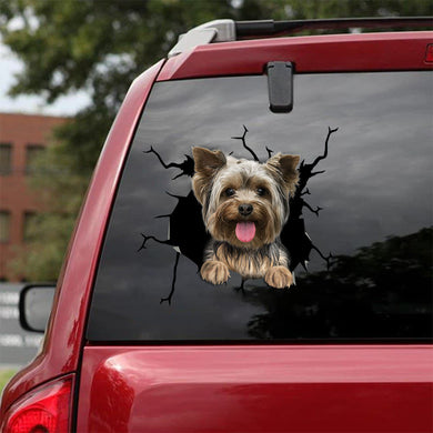 [bv0133-snf-tnt]-yorkshire-crack-car-sticker-dogs-lover