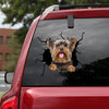 [bv0134-snf-tnt]-yorkshire-crack-car-sticker-dogs-lover
