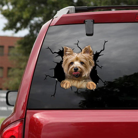 [bv0135-snf-tnt]-yorkshire-crack-car-sticker-dogs-lover