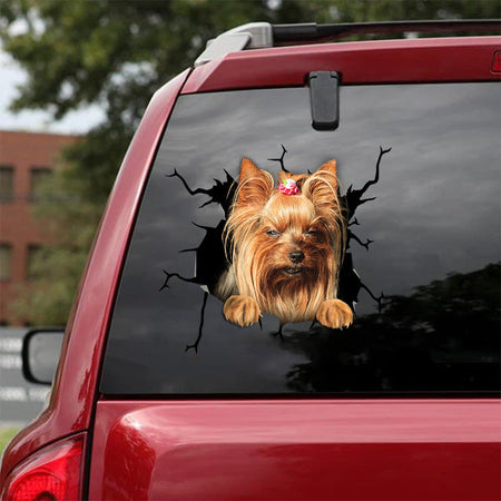 [bv0136-snf-tnt]-yorkshire-crack-car-sticker-dogs-lover