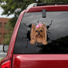 [bv0137-snf-tnt]-yorkshire-crack-car-sticker-dogs-lover