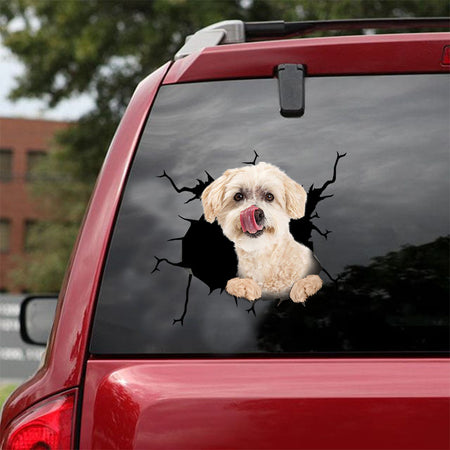 [ld0709-snf-lad]-maltipoo-chin-crack-car-sticker-dogs-lover