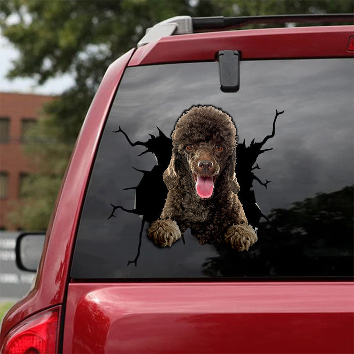 [da0093-snf-tnt]-poodle-camellia-crack-car-sticker-cats-lover