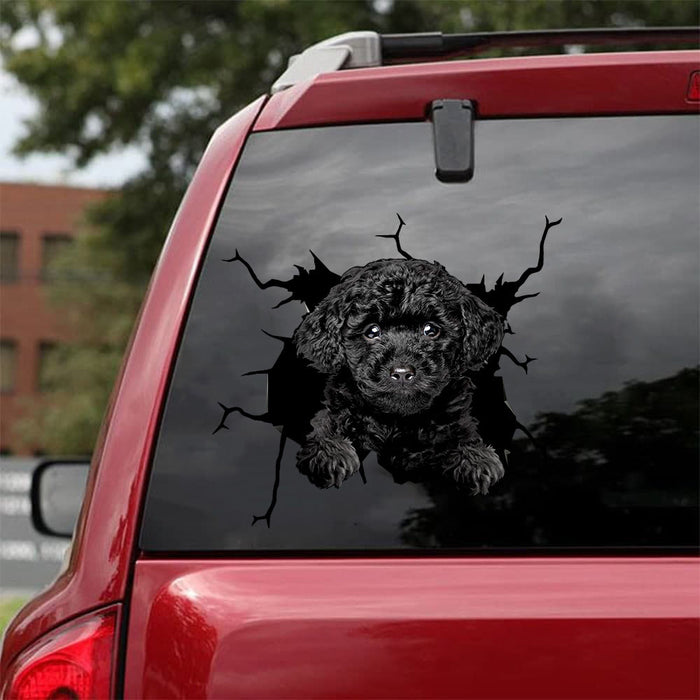 [da0095-snf-tnt]-poodle-camellia-crack-car-sticker-cats-lover