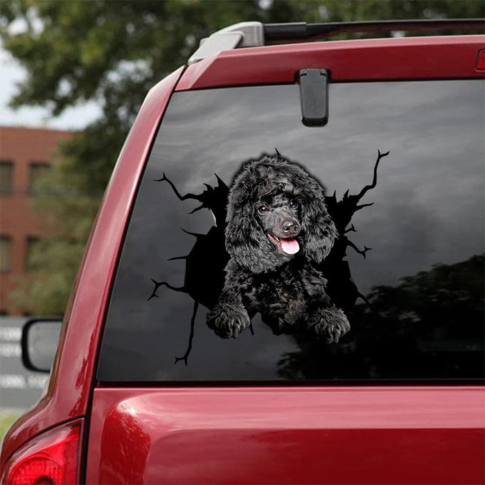 [da0096-snf-tnt]-poodle-camellia-crack-car-sticker-cats-lover