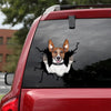 [th0132-snf-tpa]-jack-russell-terrier-crack-car-sticker-dogs-lover