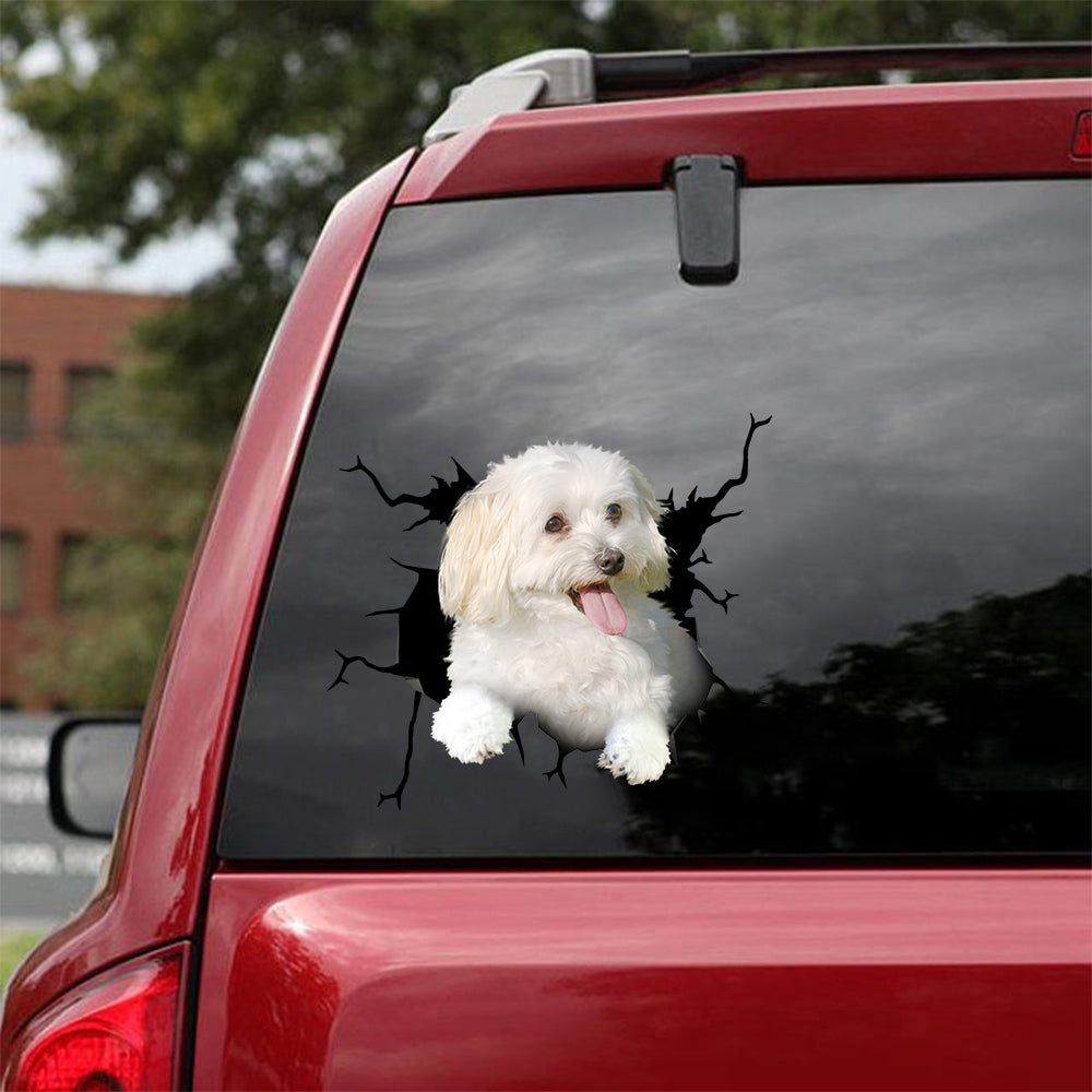 [th0126-snf-tpa]-maltipoo-crack-car-sticker-dogs-lover