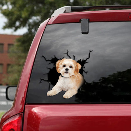 [th0127-snf-tpa]-maltipoo-crack-car-sticker-dogs-lover