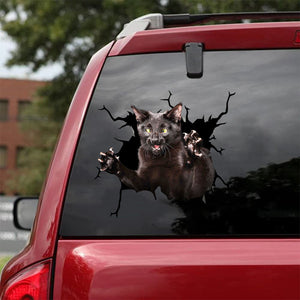 [da0586-snf-tnt]-black-cat-crack-car-sticker-cats-lover