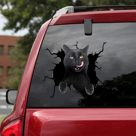 [da0590-snf-tnt]-black-cat-crack-car-sticker-cats-lover