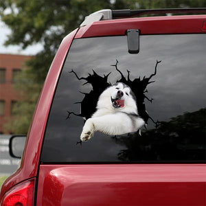 [bv0112-snf-lad]-alaska-crack-car-sticker-dogs-lover