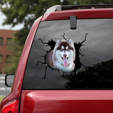 [bv0116-snf-lad]-alaska-crack-car-sticker-dogs-lover