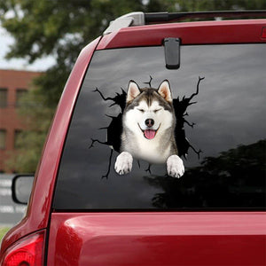 [bv0118-snf-lad]-alaska-crack-car-sticker-dogs-lover