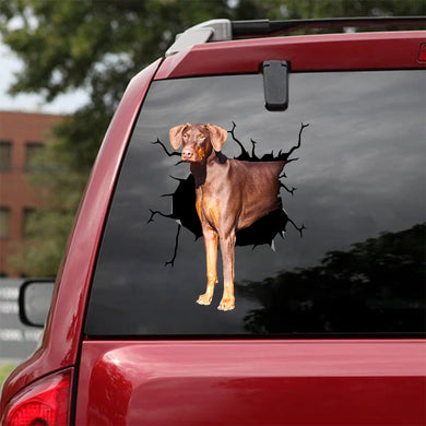 [bv0110-snf-lad]-doberman-crack-car-sticker-dogs-lover