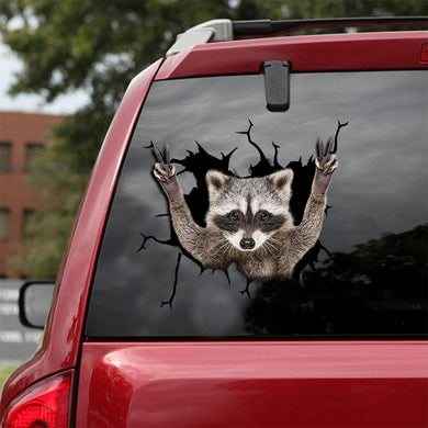 [sk1366-snf-tnt]-raccoon-crack-sticker-animals-lover