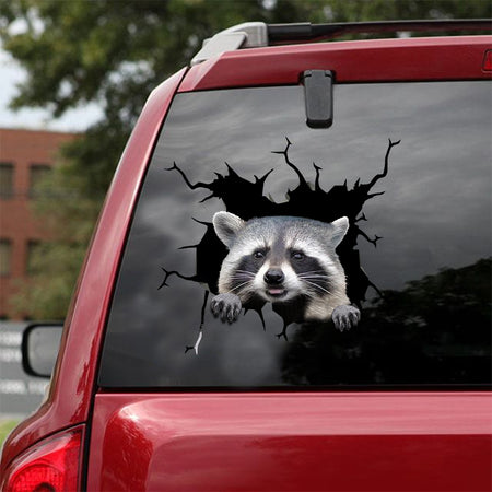 [sk1368-snf-tnt]-raccoon-crack-sticker-animals-lover