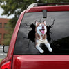 [ld0303-snf-lad]-british-shorthair-crack-car-sticker-dogs-lover