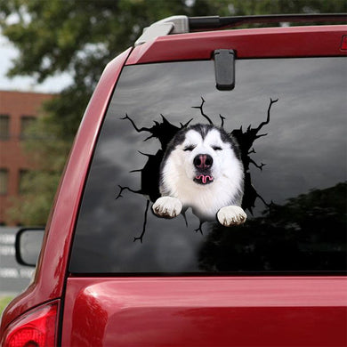 [ld0304-snf-lad]-british-shorthair-crack-car-sticker-dogs-lover