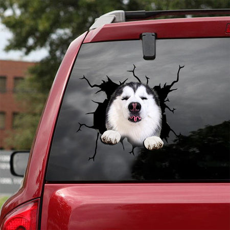 [ld0304-snf-lad]-british-shorthair-crack-car-sticker-dogs-lover