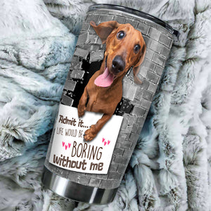 Camellia Personalized Life Would Be Boring Dachshund Stainless Steel Tumbler - Double-Walled Insulation Travel Thermal Cup With Lid Gift For Dog Pet Lover