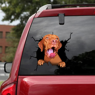 [da0268-snf-lad]-vizsla-crack-car-sticker-dogs-lover