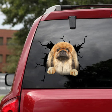 [da0179-snf-tnt]-pekingese-crack-car-sticker-dogs-lover