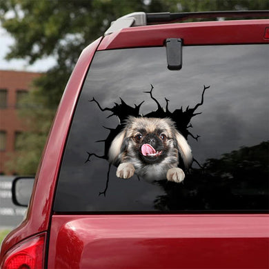 [da0180-snf-tnt]-pekingese-crack-car-sticker-dogs-lover