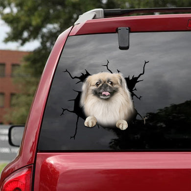 [da0171-snf-tnt]-pekingese-crack-car-sticker-dogs-lover