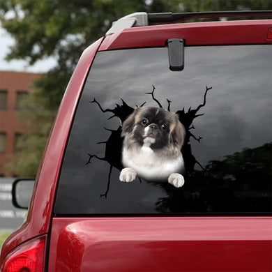 [da0173-snf-tnt]-pekingese-crack-car-sticker-dogs-lover