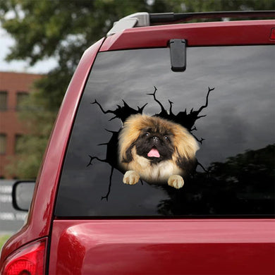 [da0177-snf-tnt]-pekingese-crack-car-sticker-dogs-lover