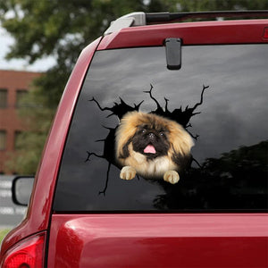 [da0177-snf-tnt]-pekingese-crack-car-sticker-dogs-lover