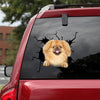 [da0178-snf-tnt]-pekingese-crack-car-sticker-dogs-lover