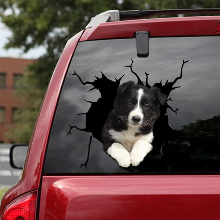 [sk1626-snf-tnt]-border-collie-crack-car-sticker-dogs-lover
