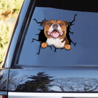 [th0616-snf-tpa]-american-staffordshire-terrier-crack-car-sticker-dogs-lover