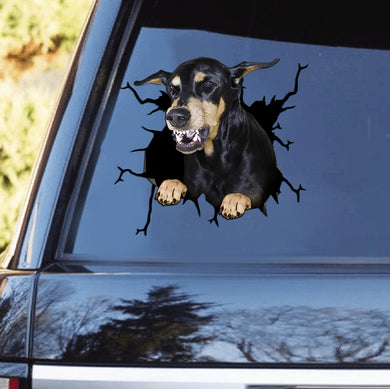 [th0630-snf-tpa]-doberman-crack-car-sticker-dogs-lover
