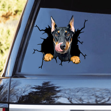 [th0633-snf-tpa]-doberman-crack-car-sticker-dogs-lover