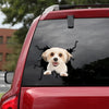 [th0151-snf-tpa]-cavachon-crack-car-sticker-dogs-lover