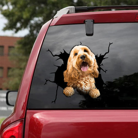 [da0078-snf-tnt]-cockapoo-crack-car-sticker-dogs-lover