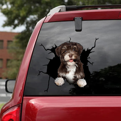 [da0081-snf-tnt]-havanese-crack-car-sticker-dogs-lover