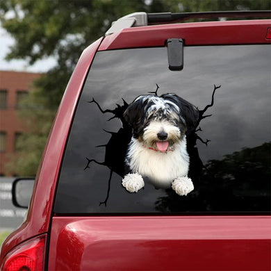 [da0082-snf-tnt]-havanese-crack-car-sticker-dogs-lover
