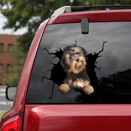 [da0080-snf-tnt]-havanese-crack-car-sticker-dogs-lover