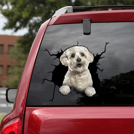 [da0083-snf-tnt]-havanese-crack-car-sticker-dogs-lover