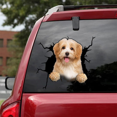 [da0084-snf-tnt]-havanese-crack-car-sticker-dogs-lover