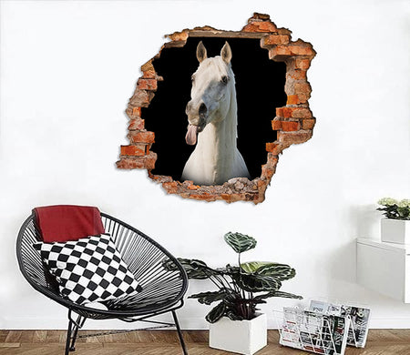 [th0161-snf-tpa]-funny-horse-crack-wall-decal