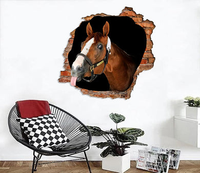 [th0163-snf-tpa]-funny-horse-crack-wall-decal