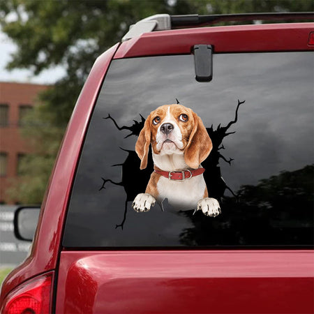 [da0199-snf-tnt]-beagle-crack-car-sticker-dogs-lover
