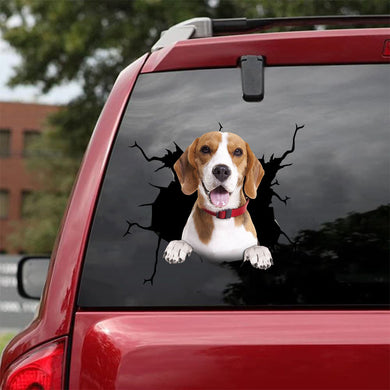 [da0192-snf-tnt]-beagle-crack-car-sticker-dogs-lover